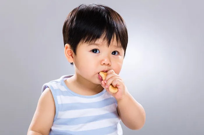 Pilihan Cemilan Anak 1 Tahun yang Sehat dan Padat Nutrisi