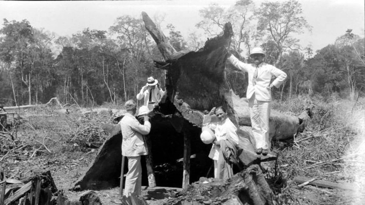 Kapan voc dibubarkan