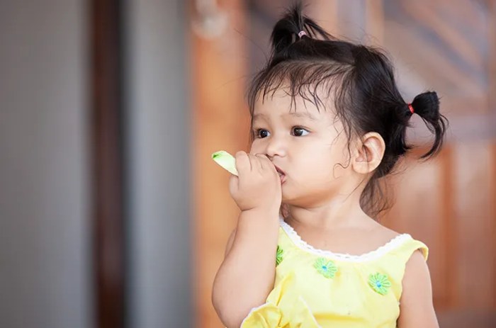 Cemilan sehat anak 1 tahun