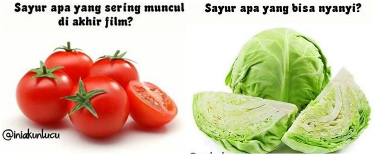 Tebak Tebakan Lucu untuk Anak SD | Tebak-tebakan, Lucu, Papan