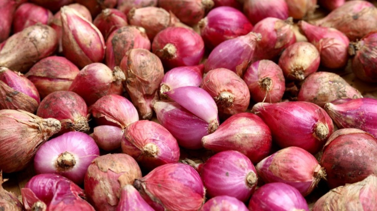 Harga Bahan Pangan Kembali Melonjak, Bawang Merah Rp39.720 Per Kilogram