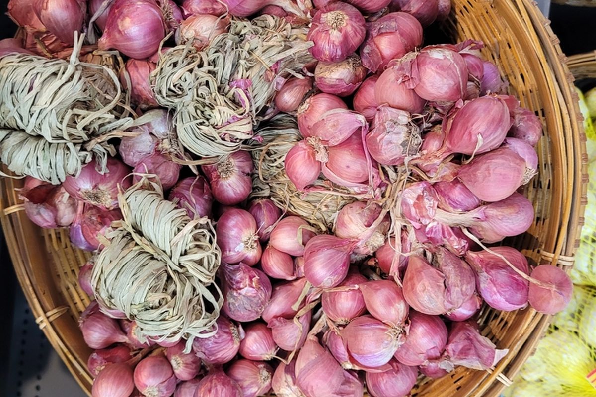Bawang merah berkembang biak dengan cara