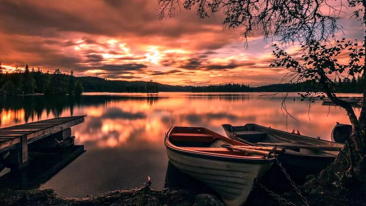 100.000+ Foto Gambar Hd Terbaik · Unduh Gratis 100% · Foto Stok Pexels