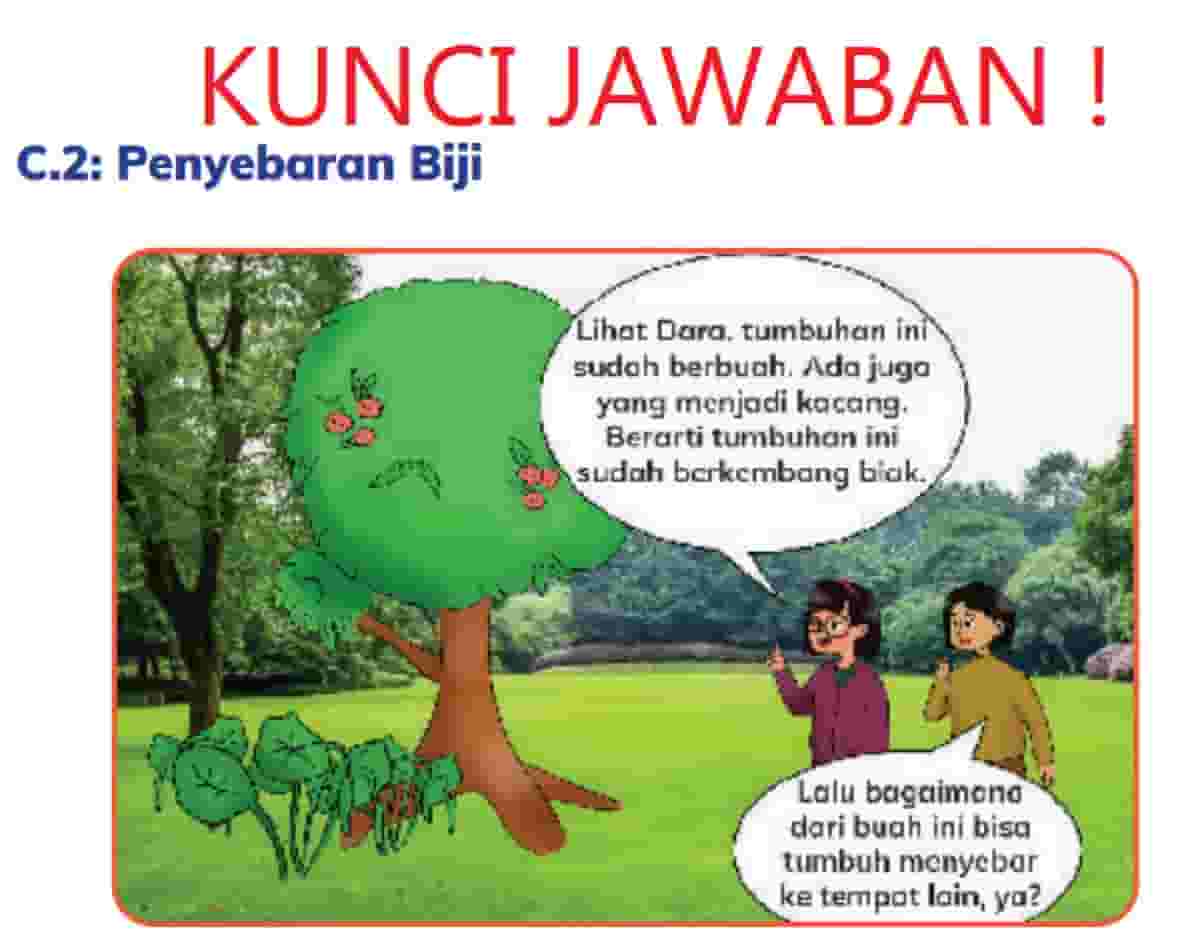 Alasan Tumbuhan Perlu Menyebarkan Bijinya dan yang Membantu ...