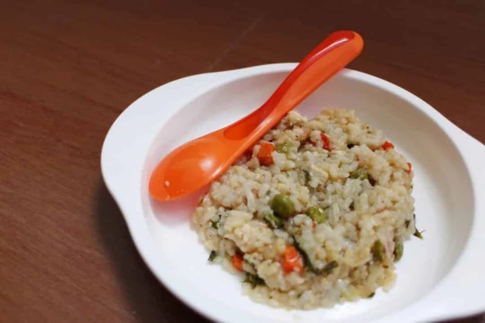 Menu MPASI Bayi 1 Tahun Keatas - MHomecare Blog