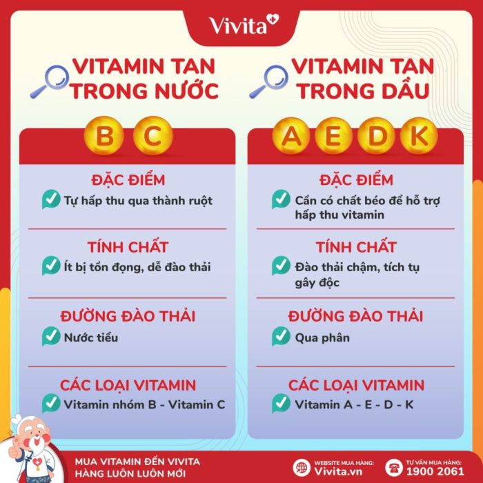 Các Loại Vitamin Tan Trong Nước Và Cách Bổ Sung Đúng