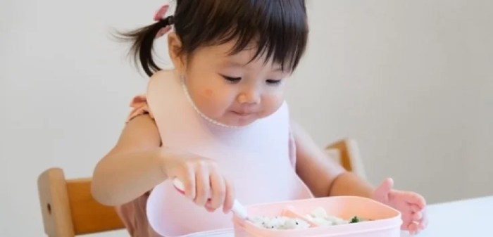 Mpasi anak 1 tahun