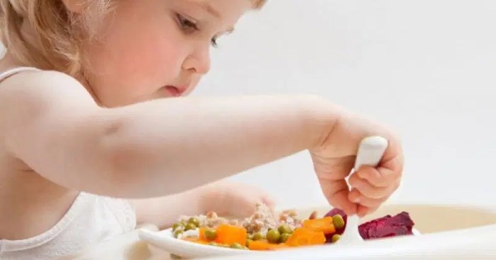 Memenuhi Kebutuhan Gizi Balita Usia 1 sampai 5 Tahun