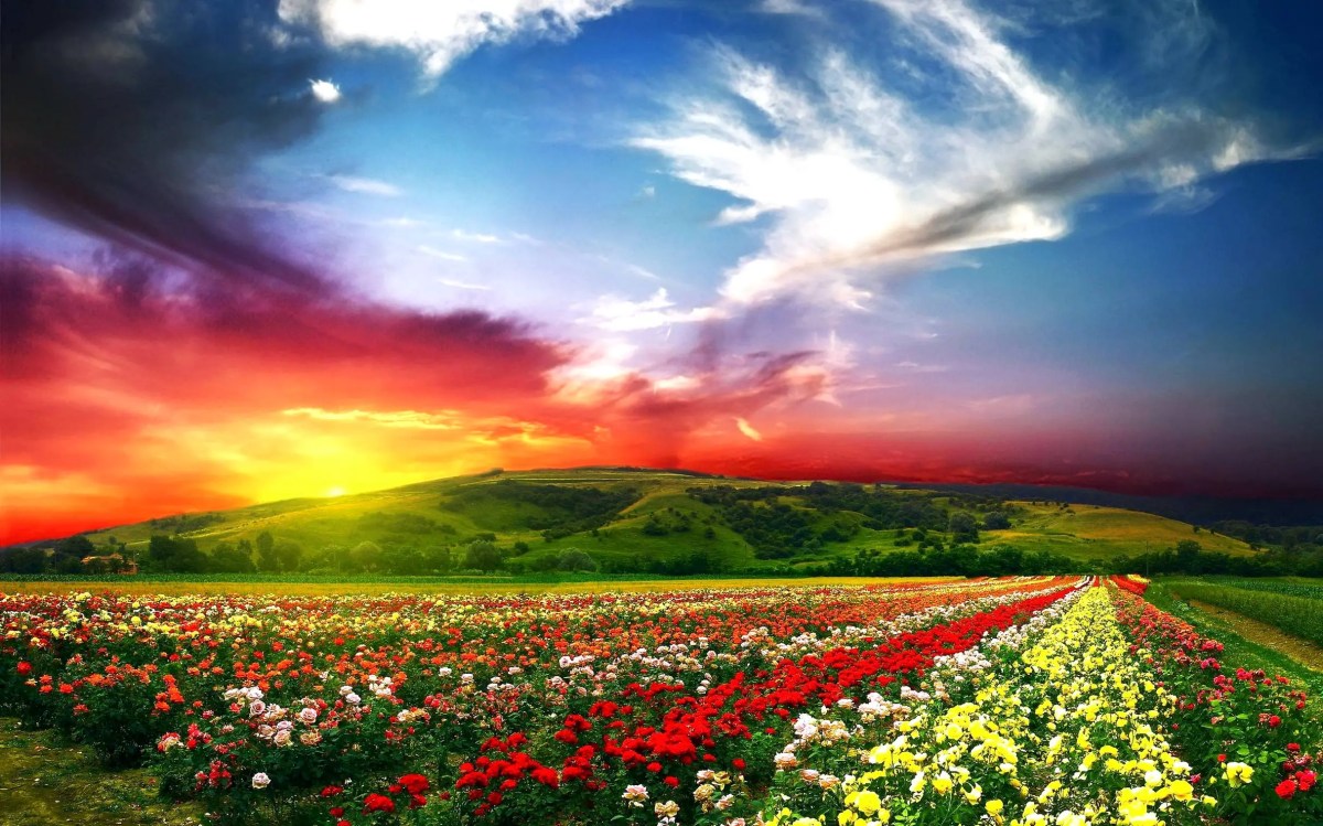 Gambar fingerprint anak tk