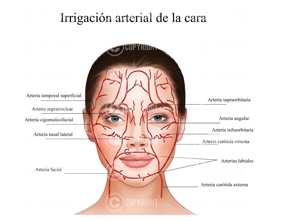 Cara mengadopsi anak di panti asuhan