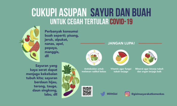 [PDF] Panduan Gizi Seimbang pada Masa Pandemi Covid-19 kemenkes