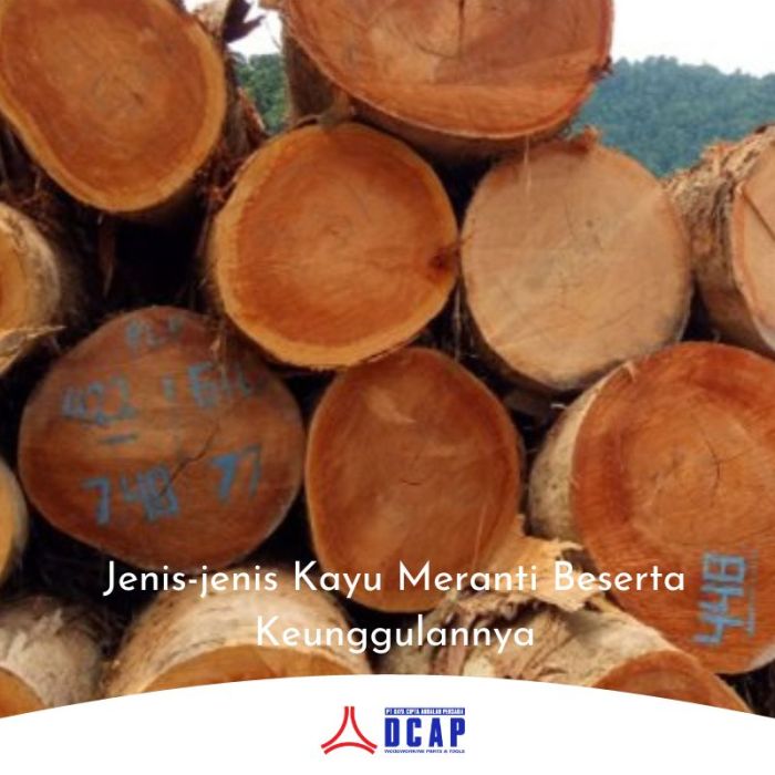 Jenis jenis permainan olahraga untuk anak sd