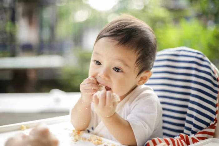 Umur berapa bayi dikasih makan