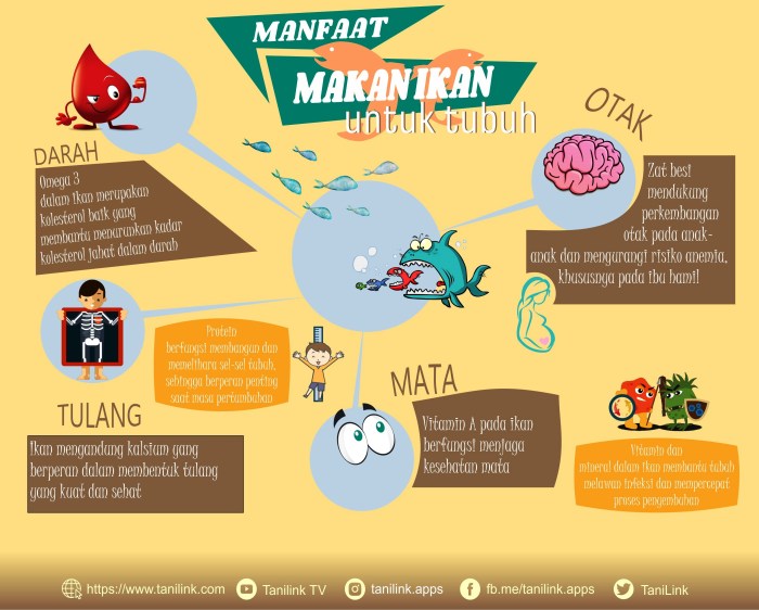 Manfaat Makan Ikan - Homecare24