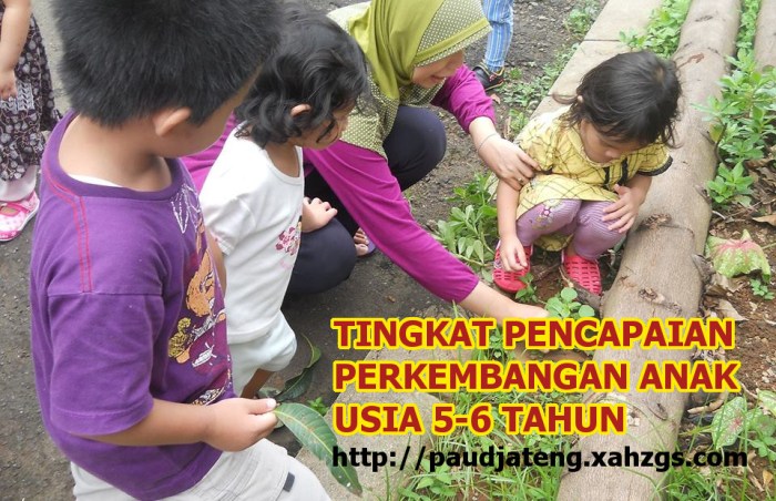 Cara Belajar Anak Usia Dini Ppt - Dunia Sosial