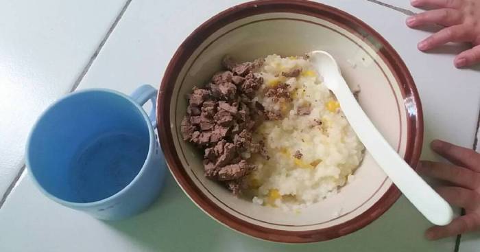 Makanan bayi umur 10 bulan