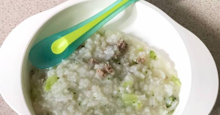 57 resep bubur bayi 1 tahun daging enak dan mudah - Cookpad