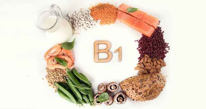 The Importance of Vitamin B1: Understanding the Role of Thiamine in ...