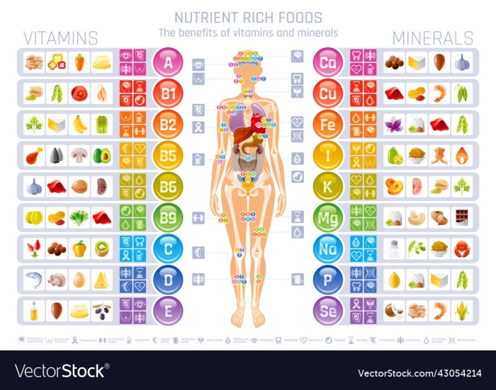 Vitamin penambah nafsu makan anak usia 1 tahun