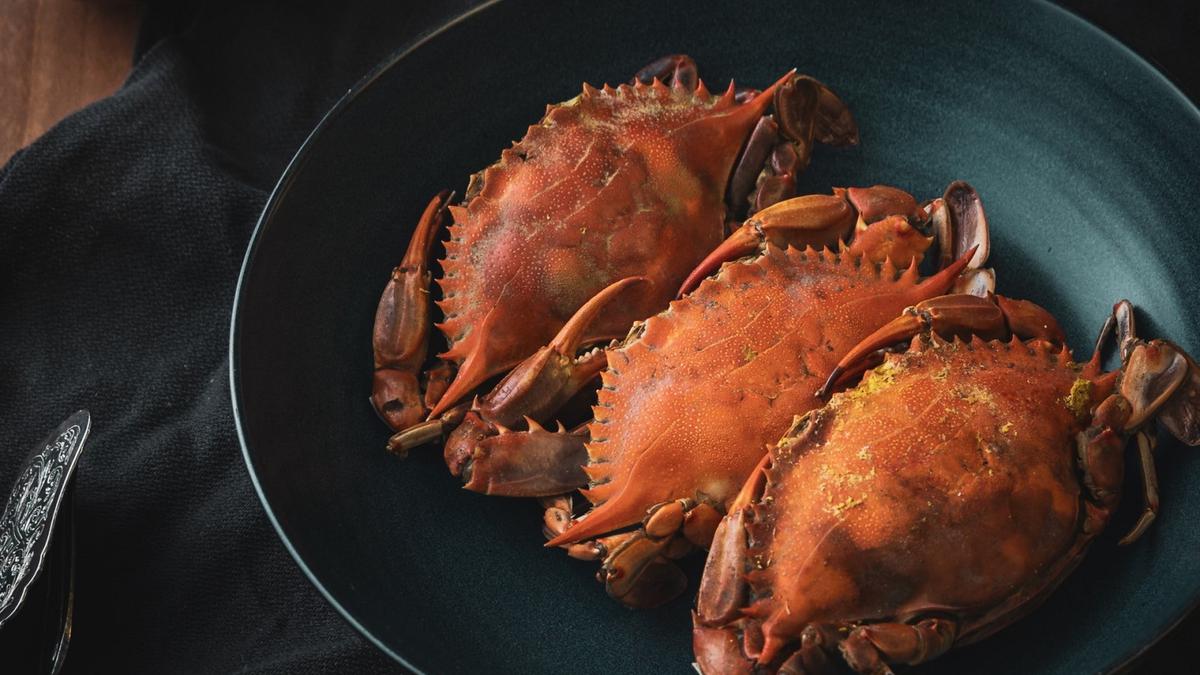 Manfaat Kepiting bagi Tubuh dan Cara Mengonsumsinya agar Lebih Sehat ...