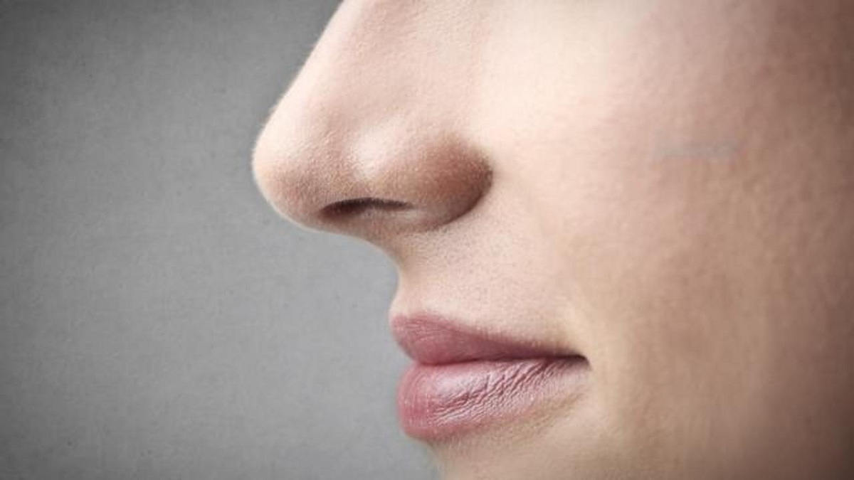 Hidung tidak bisa mencium bau