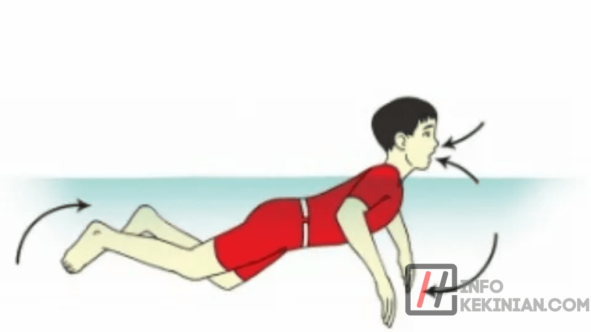 Gerakan kaki pada renang gaya bebas menyebabkan tubuh