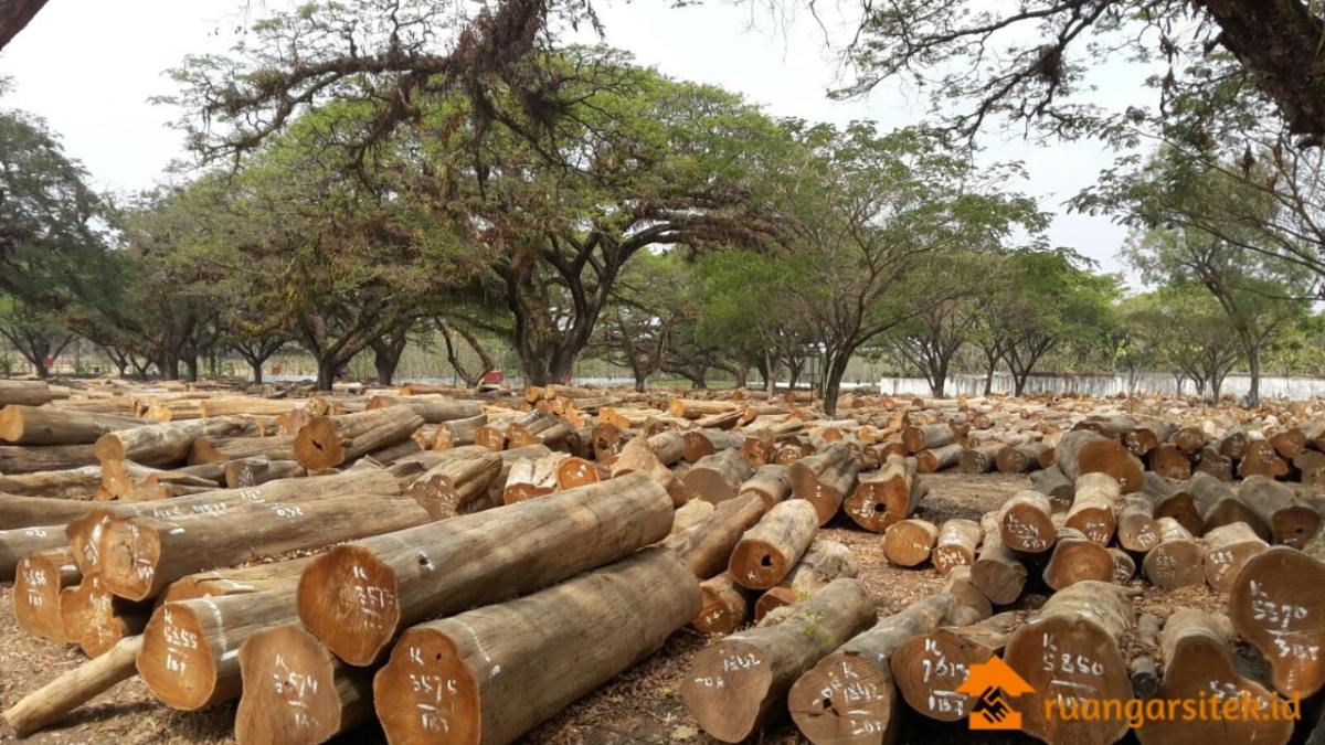 Manfaat Hutan Produksi - Homecare24