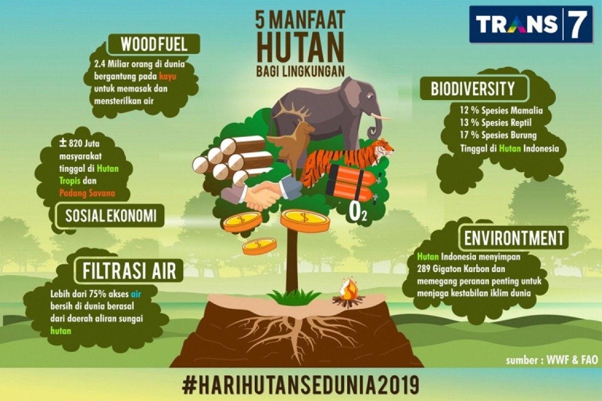 Manfaat hutan produksi