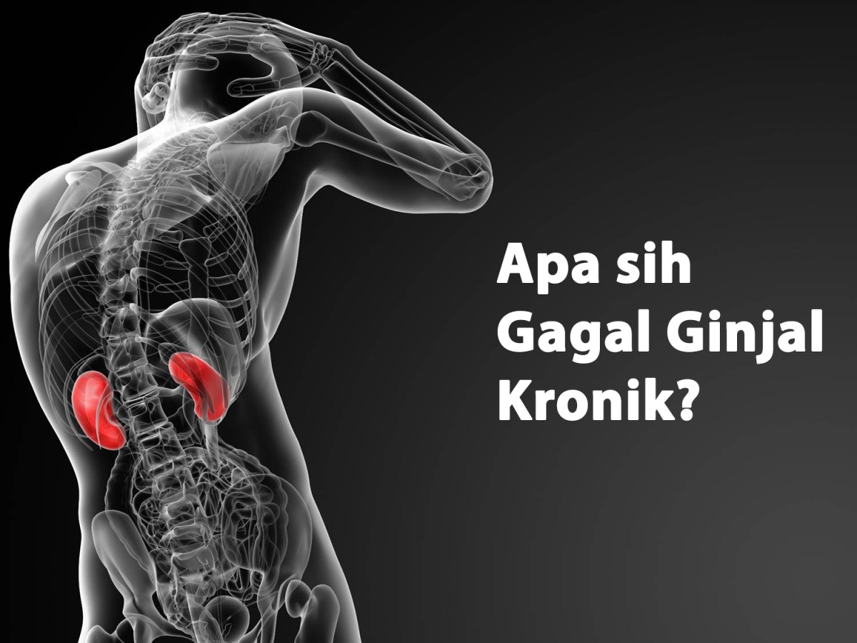 Fungsi ginjal adalah