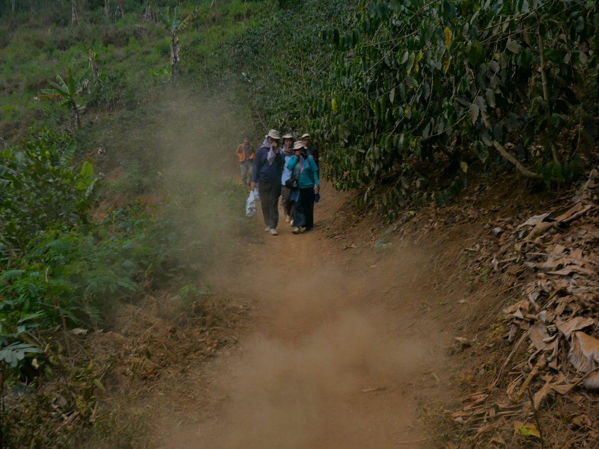Manfaat hutan produksi