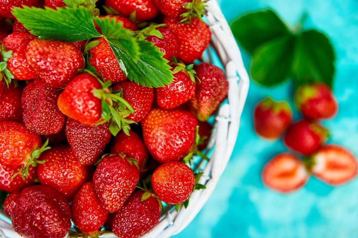 A Grade Fresh Organic Strawberry, Packaging Type: Carton, Packaging ...